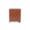 Judy Sewing Cabinet - Teak