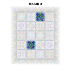 Prism Block Of The Month -Clover Outlet Store 536ae588 e814 3edc a34a a26d68e40329