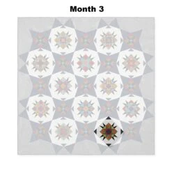 MoonRising Block Of The Month -Clover Outlet Store 5ec89e1d 722a 3f0d 836e 2114e7106f00 94ed24b0 aeb1 4d65 98c0 95c78d670b6b