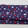 Sweet Liberty - Large Stars Blue 2 Yard Cut