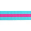 Tula Pink 1 1/2" Webbing - Blue Aqua And Hot Pink
